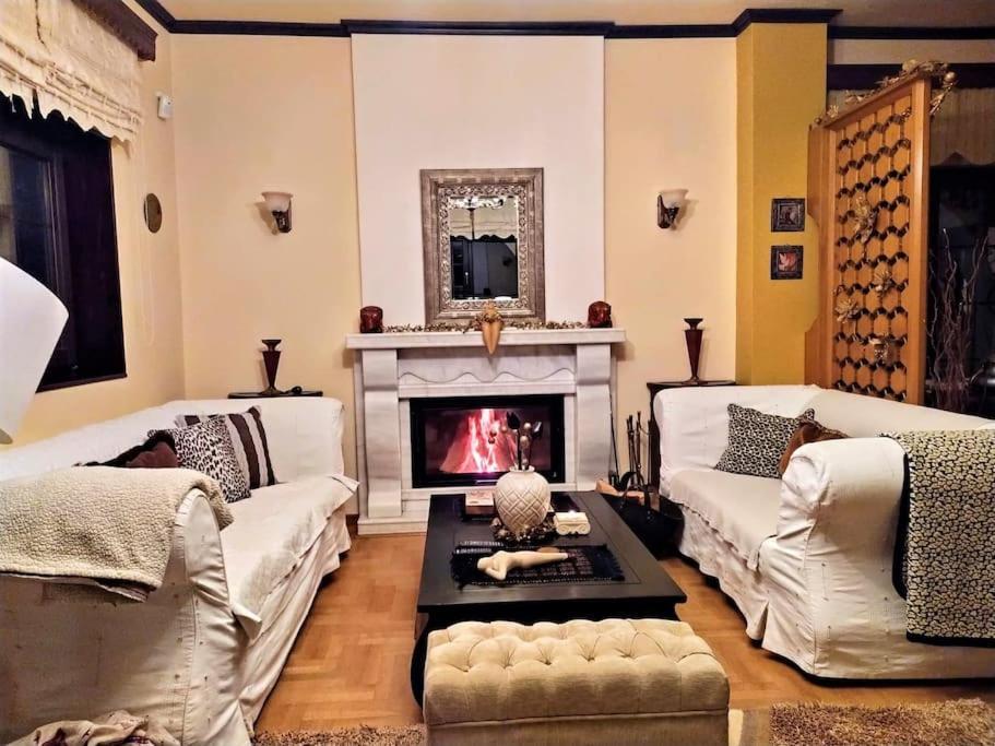 Villa Tethys Mountain Resort Zákas المظهر الخارجي الصورة