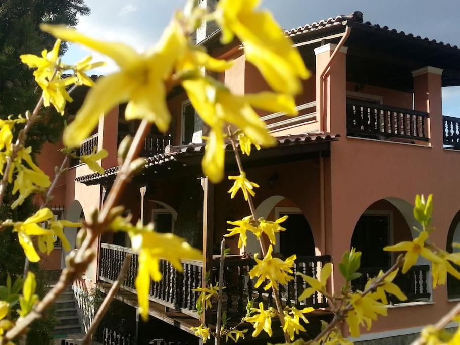 Villa Tethys Mountain Resort Zákas المظهر الخارجي الصورة