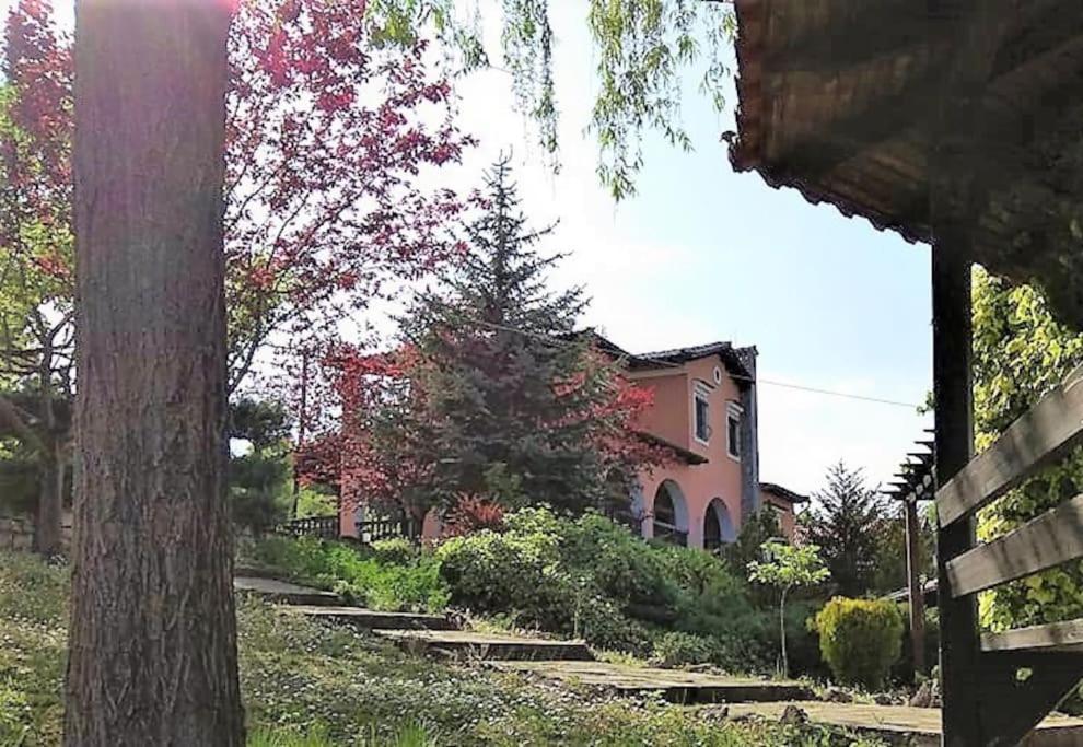 Villa Tethys Mountain Resort Zákas المظهر الخارجي الصورة