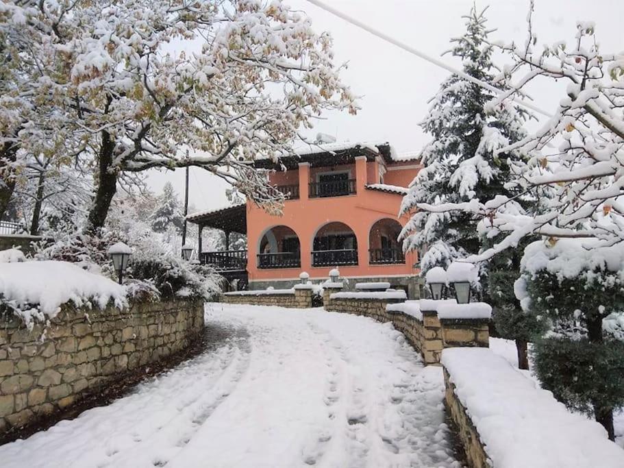 Villa Tethys Mountain Resort Zákas المظهر الخارجي الصورة